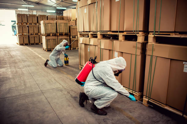 Best Pest Inspection Near Me  in Grove City, PA
