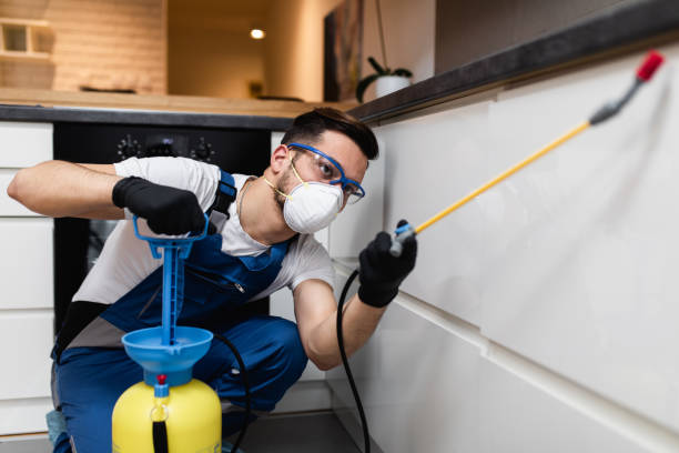 Best Local Pest Control Services  in Grove City, PA