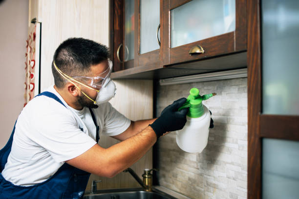 Best Emergency Pest Control  in Grove City, PA