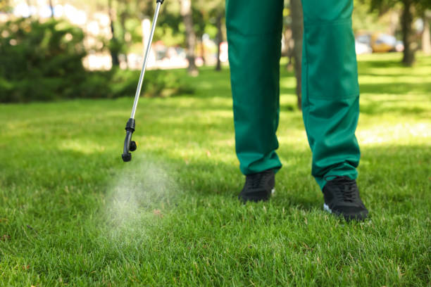 Best Mosquito Control Services  in Grove City, PA