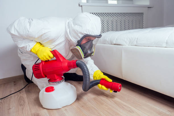 Professional Pest Control in Grove City, PA