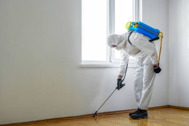 Best Exterminator Services  in Grove City, PA