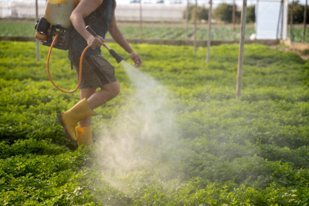 Best Pest Control Cost  in Grove City, PA