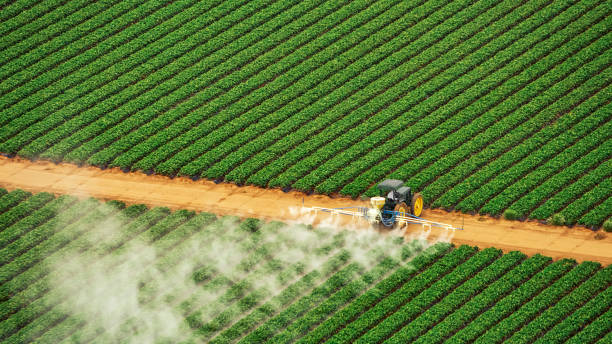 Best Mosquito Control Services  in Grove City, PA