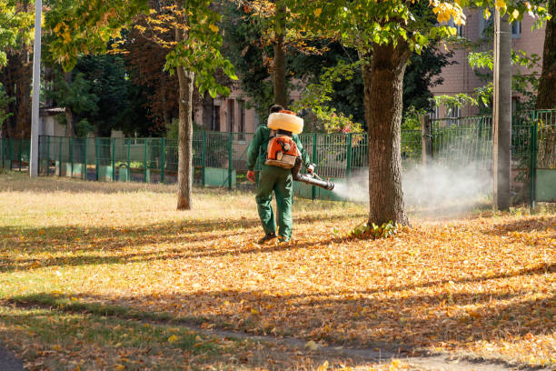 Best Affordable Pest Control Services  in Grove City, PA