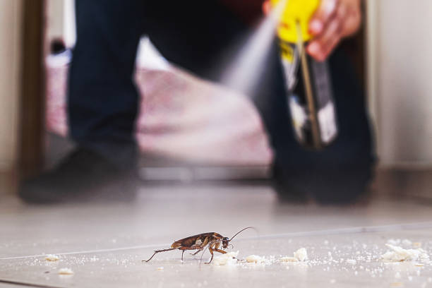 Best Emergency Pest Control  in Grove City, PA
