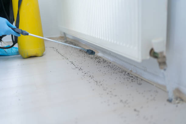 Best Pest Inspection Near Me  in Grove City, PA
