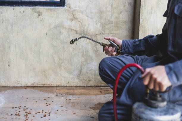 Pest Control Cost in Grove City, PA