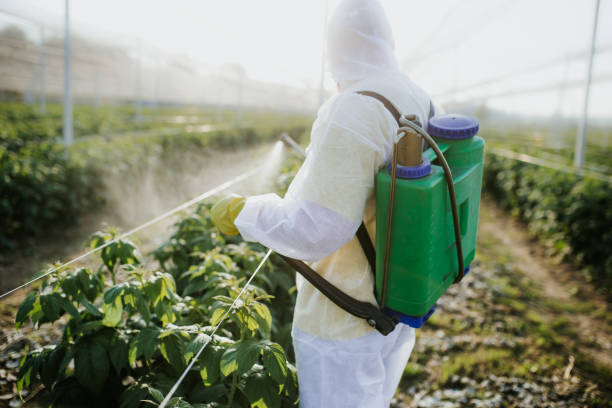 Best Wasp Removal Services  in Grove City, PA